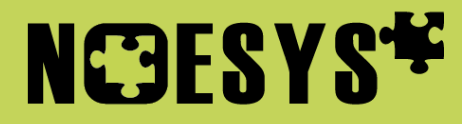 Noesys Logo